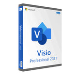 Microsoft Visio Professional 2021 software package on a white background